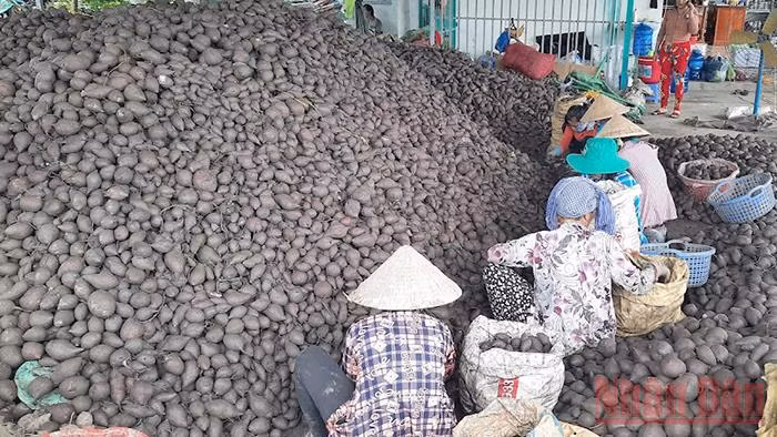 Vĩnh Long thông thoáng nông sản, thực phẩm dồi dào -0