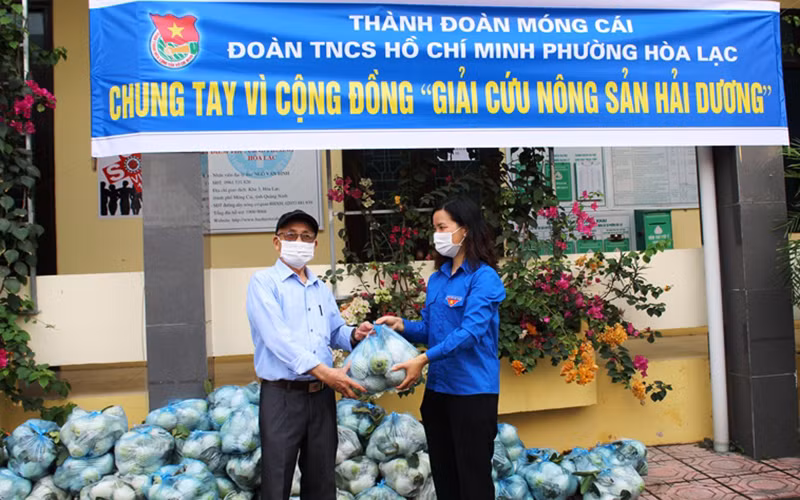 Tuổi trẻ TP Móng Cái giúp nông dân Hải Dương tiêu thụ nông sản