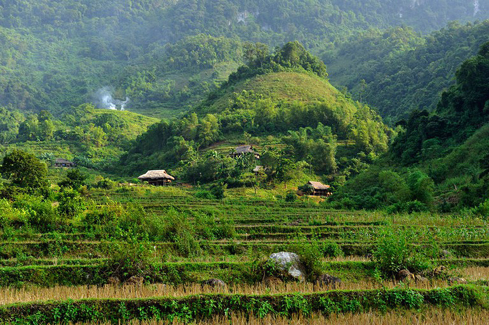 Vườn quốc gia Cúc Phương là địa điểm dễ dàng khám phá (Ảnh: Hemis / Alamy Stock Photo) 10 vườn quốc gia hấp dẫn nhất Việt Nam -0
