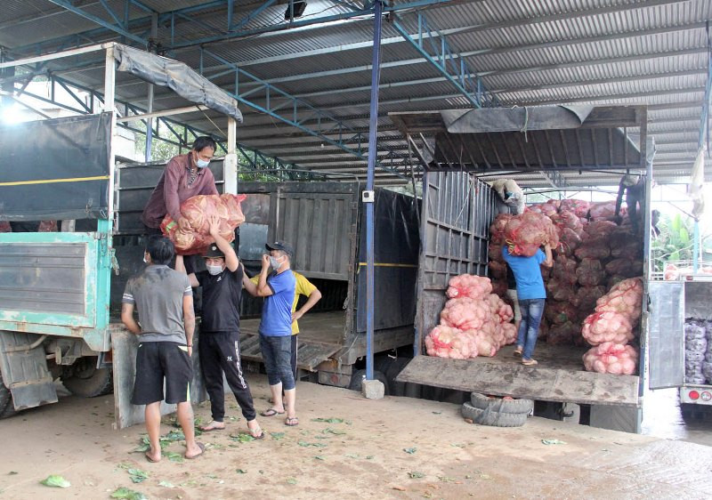 Các chuyến xe sẵn sàng vận chuyển nông sản hỗ trợ TP Hồ Chí Minh. Lâm Đồng hỗ trợ TP Hồ Chí Minh 200 tấn nông sản mỗi ngày -0