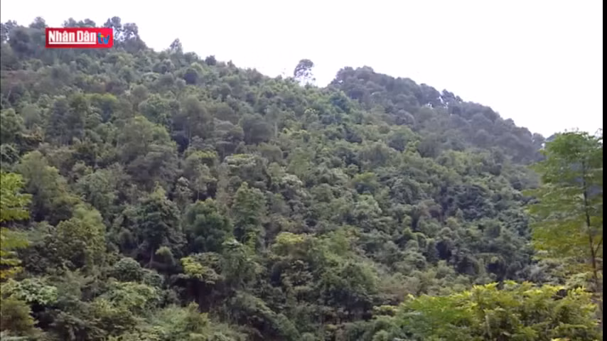 Hồn đại ngàn trong văn hóa Khơ Mú