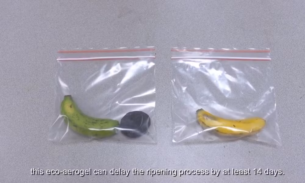 Biến lá dứa vô dụng thành chất bảo quản thực phẩm và xử lý nước thải -0