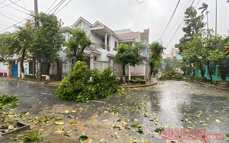 Cây xanh trên địa bàn TP Quảng Ngãi bị ngã đổ. Đã có cây đổ, nhà tốc mái do bão số 9 -0