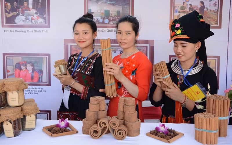Giới thiệu sản phẩm quế xuất khẩu.
