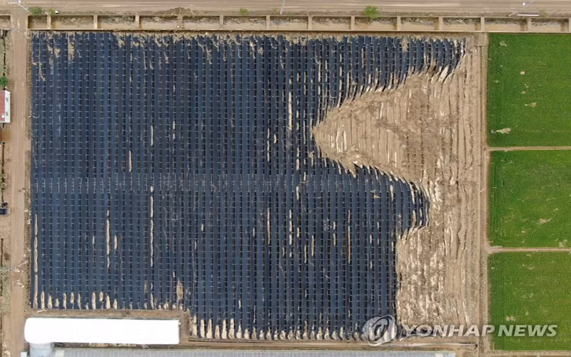 Hàn Quốc tiếp tục chịu thiệt hại do mưa lớn, 13 người chết -0