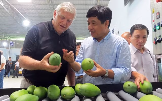  Bảo đảm chất lượng sau thu hoạch nhờ dây chuyền sản xuất hiện đại tại Ðồng Tháp.