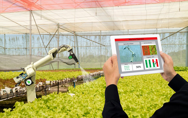 Với việc sử dụng robot và AI, sản xuất nông nghiệp có thể được canh tác quanh năm trong khi sử dụng ít nước hơn 95% và ít đất hơn 99%. Các trang trại do AI và robot vận hành đang chuyển đổi nền nông nghiệp trên thế giới -0