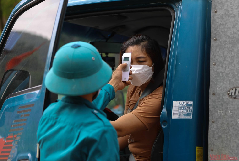 Rực rỡ sắc đỏ tại "vương quốc" vải thiều Bắc Giang ảnh 22 22_vai_thieu_bac_giang-1623834763924.jpeg