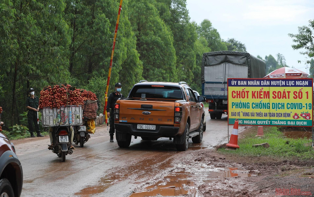 Rực rỡ sắc đỏ tại "vương quốc" vải thiều Bắc Giang ảnh 21 21_vai_thieu_bac_giang-1623834764361.jpeg