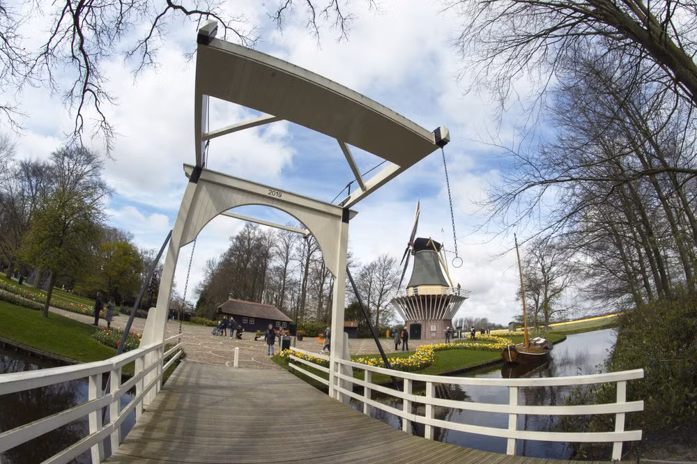 Hà Lan chào đón du khách vườn hoa nổi tiếng Keukenhof -0