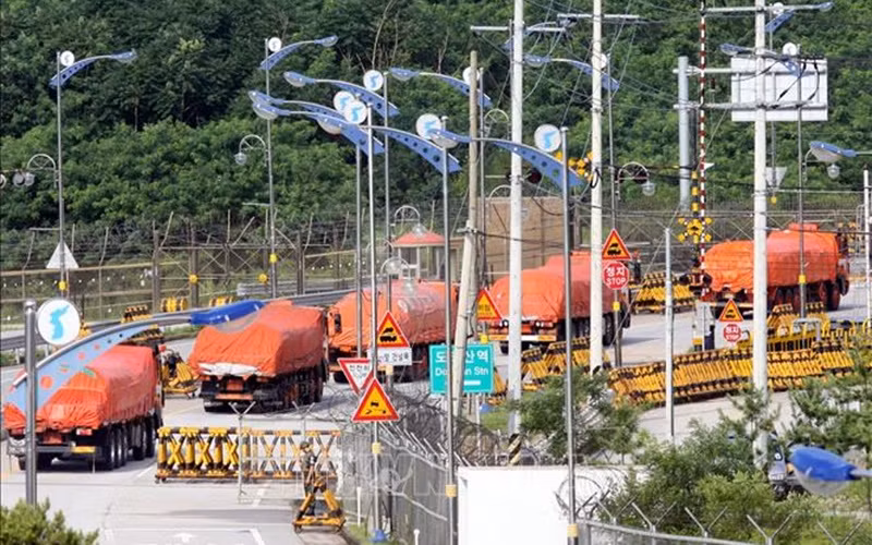 Đoàn xe tải của Hàn Quốc vận chuyển gạo viện trợ cho Triều Tiên di chuyển qua khu vực phi quân sự ở Paju, phía bắc Seoul. (Ảnh (tư liệu): AFP/TTXVN)
