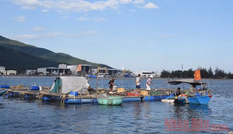 Một ngày trên vịnh Mân Quang -0