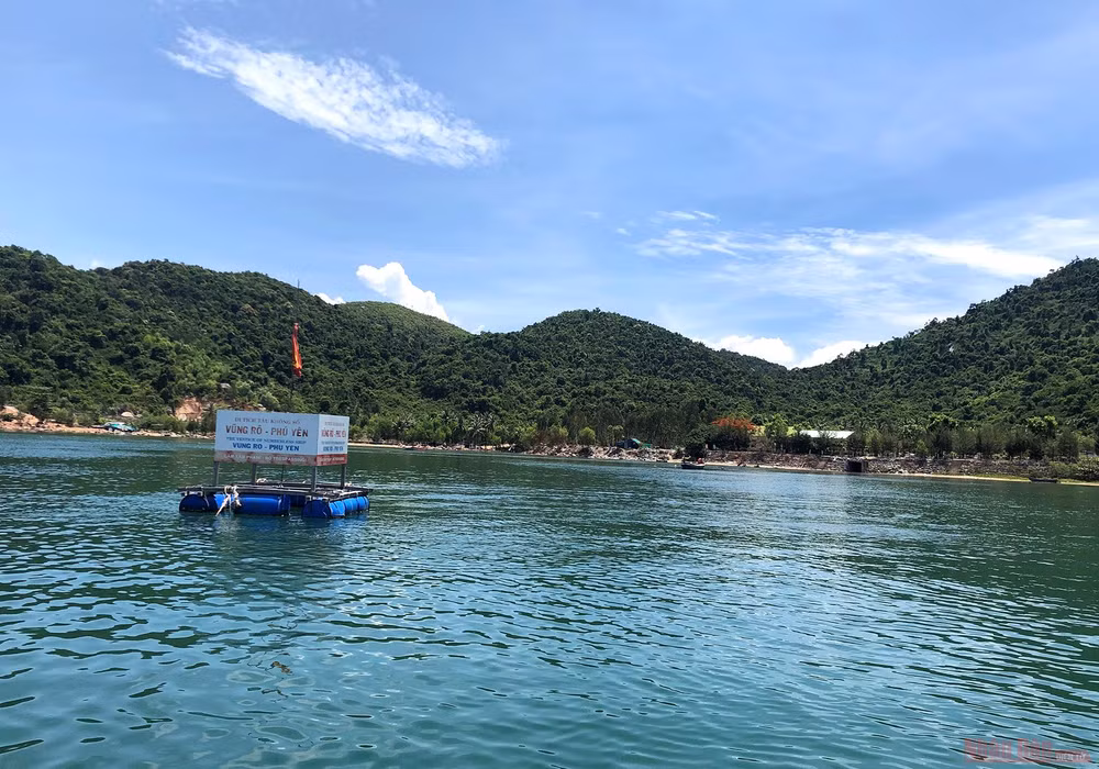 Khám phá mũi Đại Lãnh, Vũng Rô -1