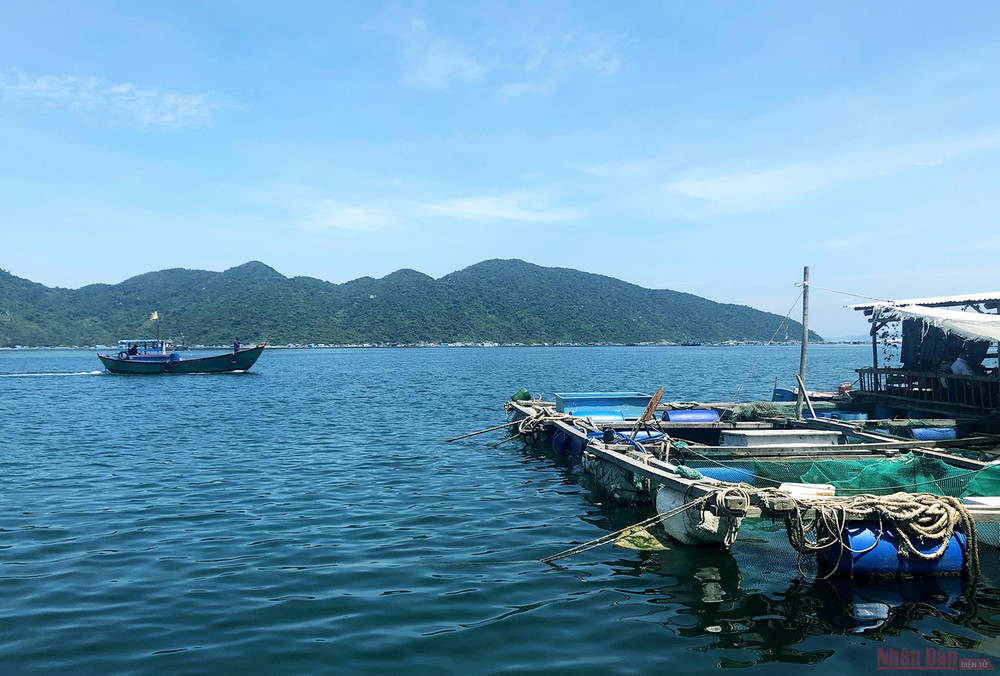 Vũng Rô có diện tích khoảng 16,4 km2 mặt nước, được các dãy núi cao Đèo Cả, Đá Bia, Hòn Bà che chắn cả 3 hướng: Bắc, Đông, Tây. Khám phá mũi Đại Lãnh, Vũng Rô -0