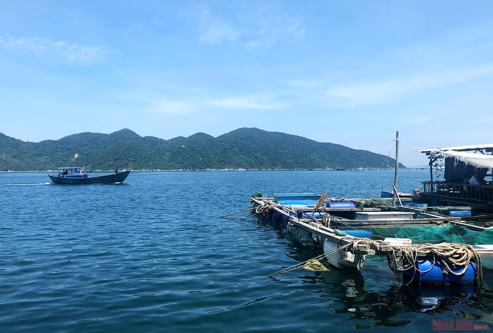 Khám phá mũi Đại Lãnh, Vũng Rô -0