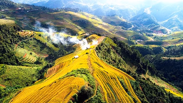 Mùa hoa khói