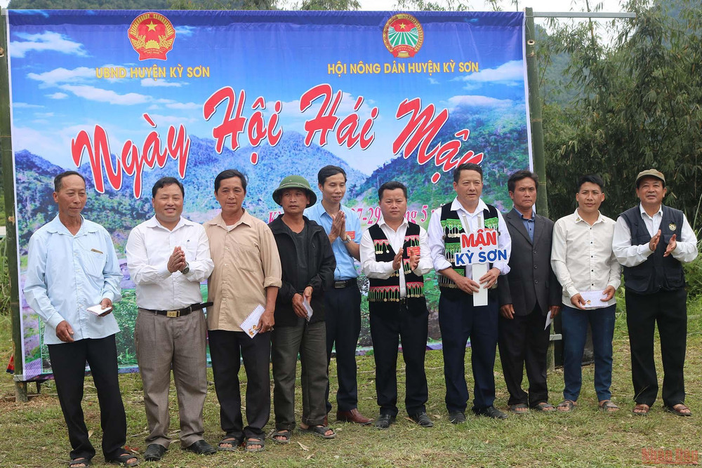 Lần đầu tiên huyện Kỳ Sơn tổ chức Ngày hội hái mận quy mô cấp huyện và Ban tổ chức trao giải thưởng cho các chủ hộ tham gia hội thi mận đẹp. Ngày hội hái mận ở vùng cao Nghệ An -0