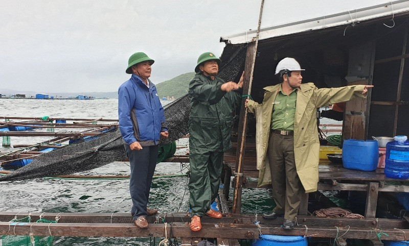 Các lực lượng phối hợp huyện Vạn Ninh kiểm tra an toàn lồng bè trên khu vực vịnh Vân Phong. Bão số 12 gây nhiều thiệt hại tại các địa phương -0