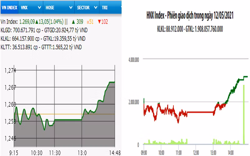 Diễn biến VN-Index và HNX-Index, phiên giao dịch ngày 12-5. 