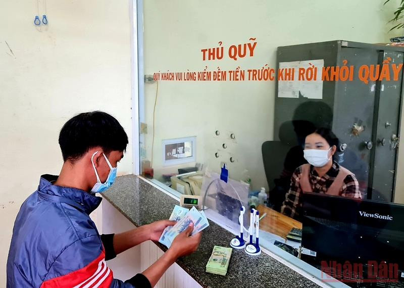 Người trồng sắn rất vui khi sắn được nhà máy mua với giá cao. Người trồng sắn Quảng Trị vui mừng vì giá bán cao -0