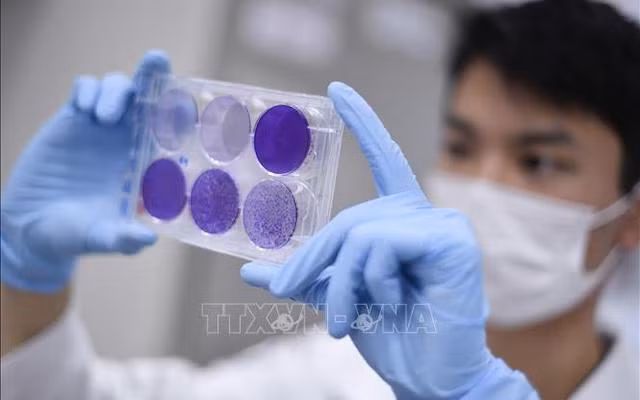 Nghiên cứu vaccine phòng Covid-19 tại Belo Horizonte, bang Minas Gerais, Brazil, ngày 26-3-2020. (Ảnh: AFP/TTXVN)