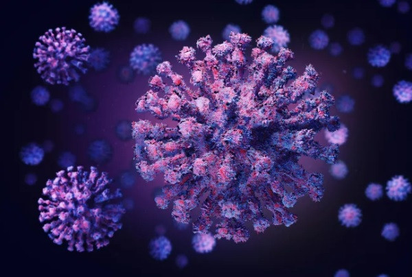 Các virus SARS-CoV-2 sử dụng protein tăng đột biến (nhìn thấy trên bề mặt của nó ở đây) để xâm chiếm các tế bào của con người. Ảnh: Shutterstock. Những ứng cử viên dẫn đầu “cuộc đua” vaccine Covid-19 -0