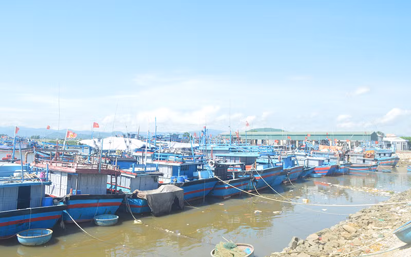 Cảng neo trú tàu, thuyền Mỹ Á, xã Phổ Quang, thị xã Đức Phổ, tỉnh Quảng Ngãi.