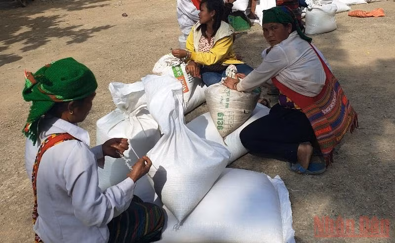 Người dân Bắc Lý, huyện miền núi cao Kỳ Sơn nhận gạo cứu trợ.