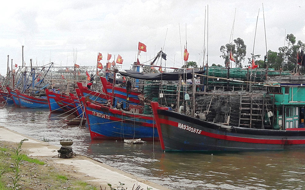 Tàu thuyền neo đậu an toàn tại nơi tránh trú bão. Thanh Hóa chủ động ứng phó với bão số 2 -0
