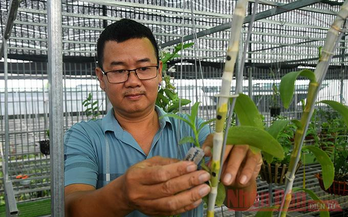 Anh Trịnh Đắc Toàn - chủ nhà vườn Trịnh Toàn ở thôn Đồng Nhân, xã Đông La Tránh “trái đắng” từ lan đột biến tiền tỷ -0