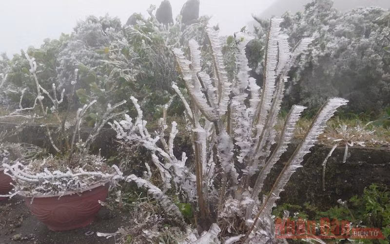 Mẫu Sơn nhiệt độ giảm âm 3,4 độ C