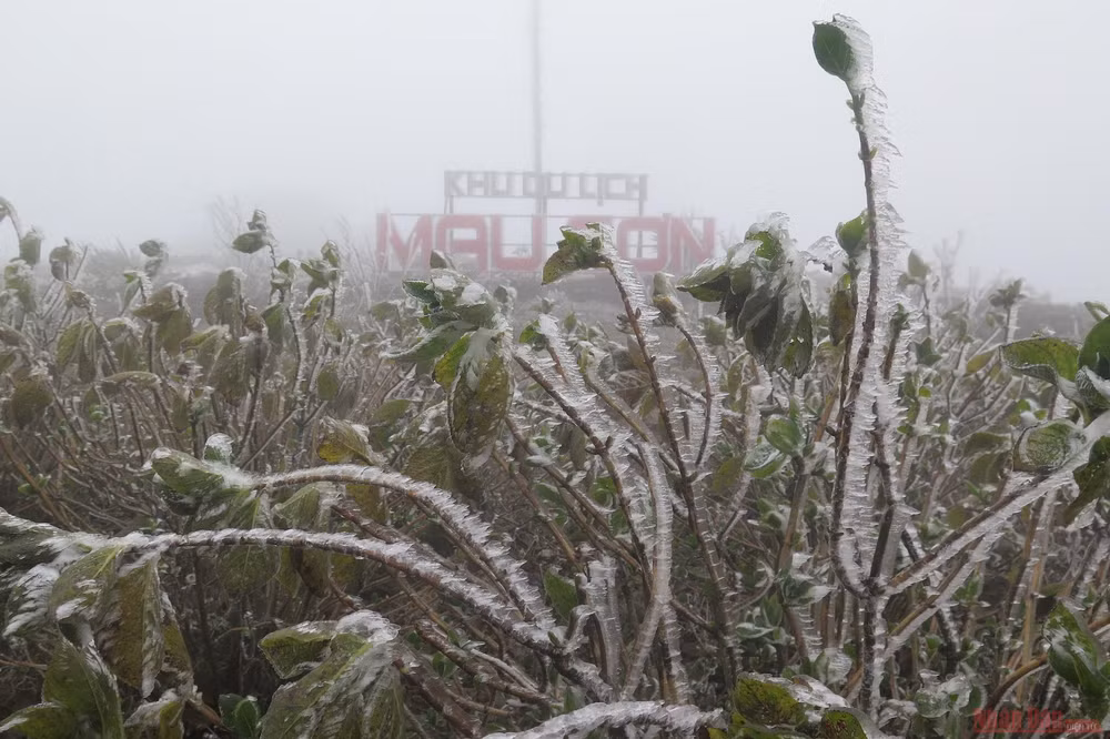 Mẫu Sơn nhiệt độ giảm âm 3,4 độ C -0