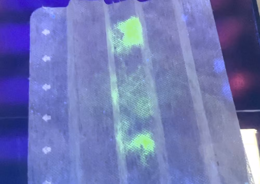 Mẫu dịch chứa virus SARS-CoV-2 phát sáng trên tấm vải lọc dùng làm khẩu trang dưới tia cực tím. Nguồn: Trường ĐH Kyoto.