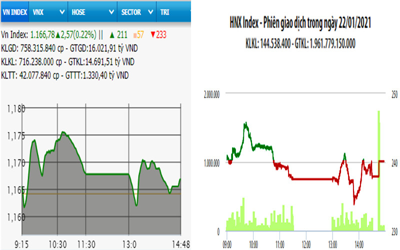 Diễn biến VN-Index và HNX-Index, phiên giao dịch ngày 22-1. 