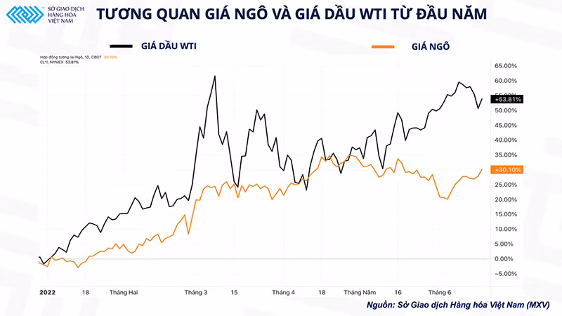 Giá xăng dầu lập kỉ lục, thị trường đặt câu hỏi “Giá ngô bao giờ giảm?” -0