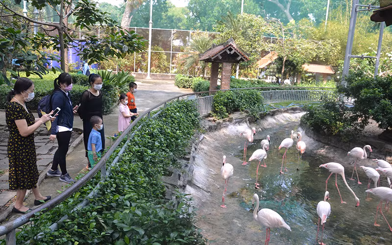 Thảo cầm viên Sài Gòn đã mở cửa đón khách tham quan.