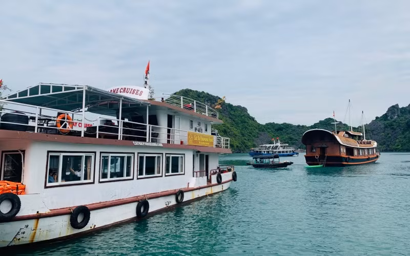 Tàu du lịch đã được yêu cầu dừng hoạt động trên vịnh Cát Bà từ 17 giờ chiều 2/7.