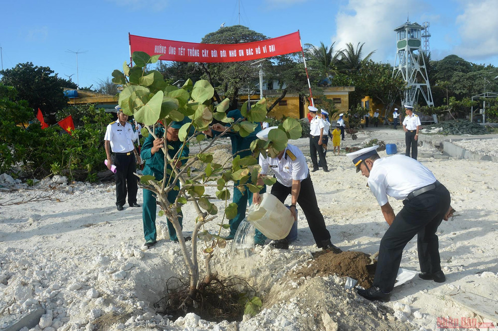 Tết ở nơi đầu sóng ảnh 7 10_tet_trong_cay-1613113464153.jpg