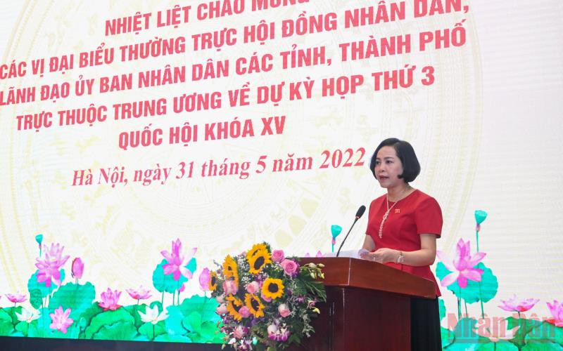 Trưởng ban Công tác đại biểu Quốc hội Nguyễn Thị Thanh phát biểu tại buổi gặp mặt. (Ảnh: DUY LINH) Chủ tịch Quốc hội gặp mặt đại biểu Thường trực HĐND, lãnh đạo UBND các tỉnh, thành phố -0