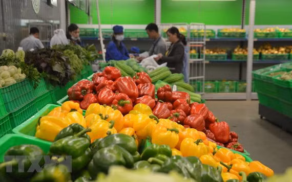 Ảnh minh họa. (Nguồn: TTXVN)