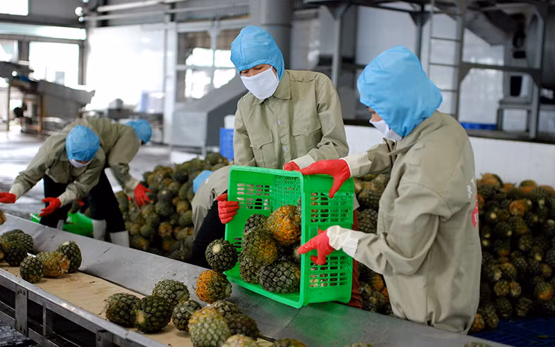 Nhiều giải pháp khơi thông tiêu thụ và xuất khẩu nông sản -0