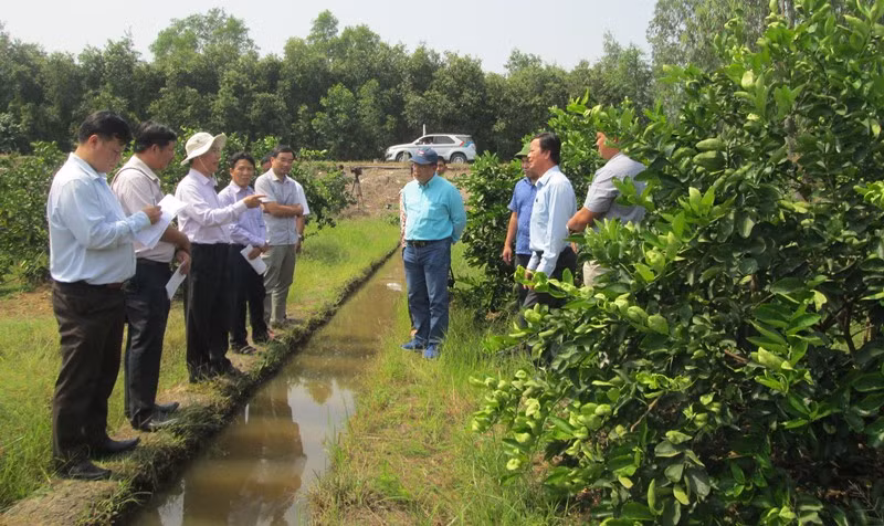 Tăng cường ứng phó xâm nhập mặn ngay Tết Nguyên đán Tân Sửu -0