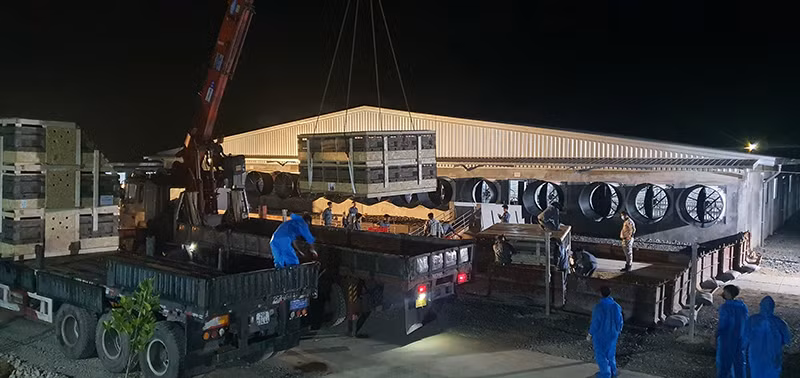 Hàng nghìn con lợn giống chất lượng cao từ châu Âu đã về đến Việt Nam -0