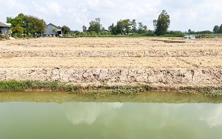 Đồng ruộng biến thành ao hầm.
