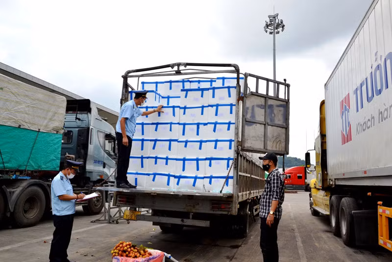 Xuất khẩu 3.400 tấn vải thiều sớm qua cửa khẩu Kim Thành -0