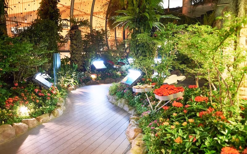 Những khu vườn ấn tượng trên thế giới -1