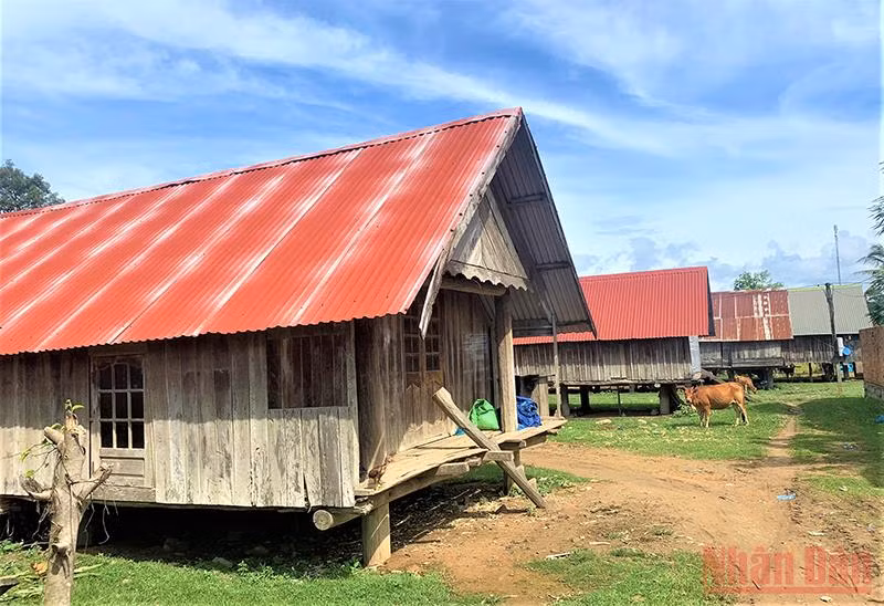 Thơ mộng hồ Lắk giữa đại ngàn Tây Nguyên -0