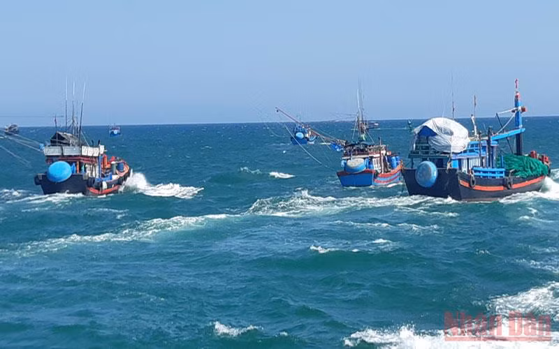 Tàu cá của ngư dân Quảng Ngãi vươn khơi bám biển xa. 
