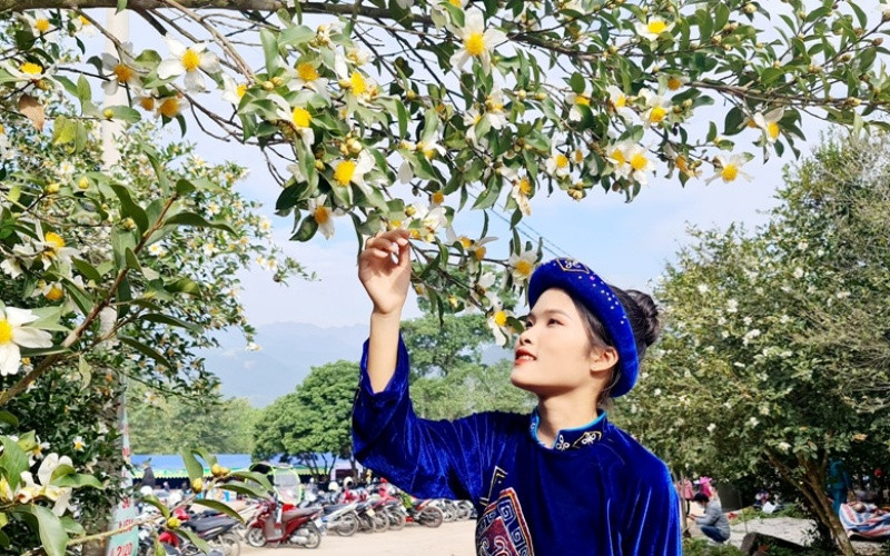 Hội hoa Sở Bình Liêu 2020 thu hút đông đảo du khách trong và ngoài tỉnh. Quảng Ninh khai Hội hoa Sở năm 2020 -0