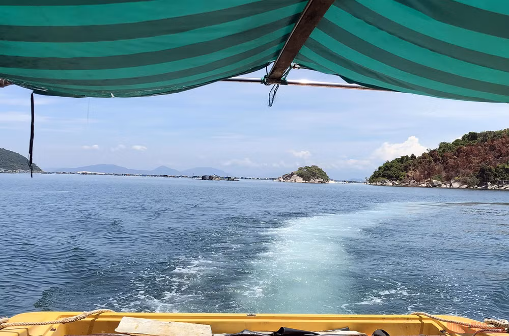 Khám phá mũi Đại Lãnh, Vũng Rô -2